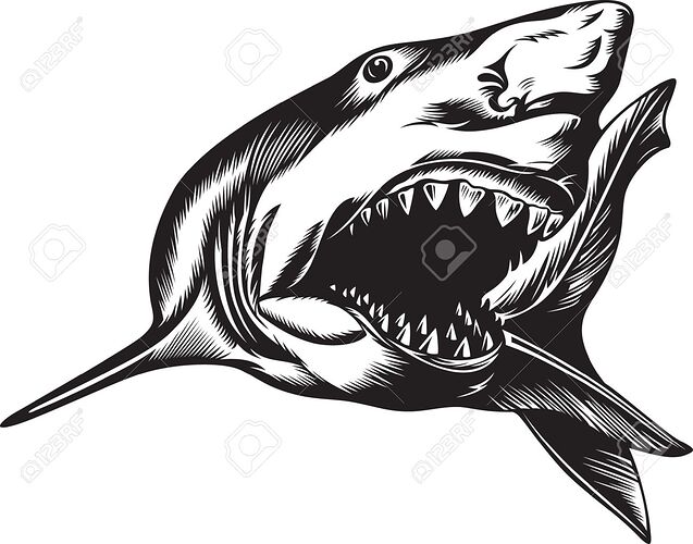 17170481-big-aggressive-shark-with-open-mouth