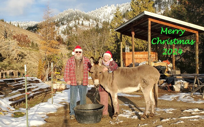 Christmas 2024-Green & Croped