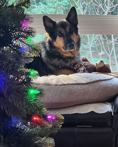 TilaChristmas