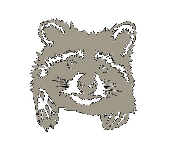 raccoon2