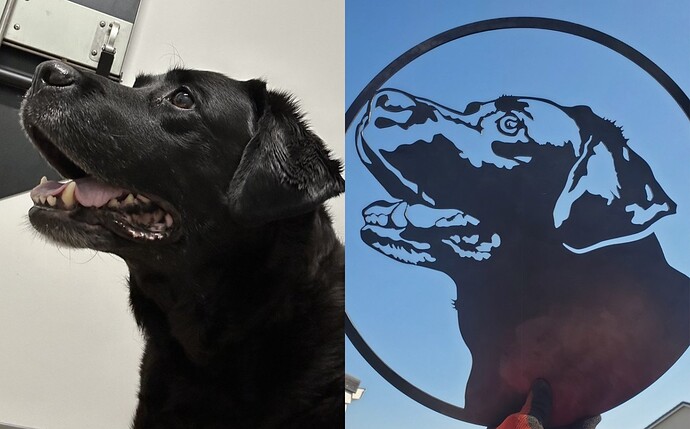 Collage 2025-08-20 19_17_36