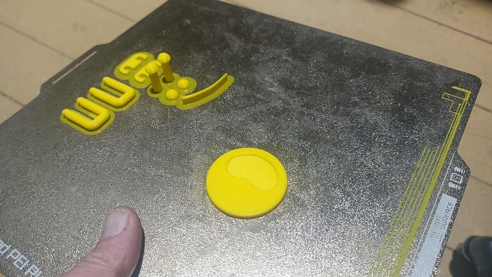 IMG_20250315_163252_157