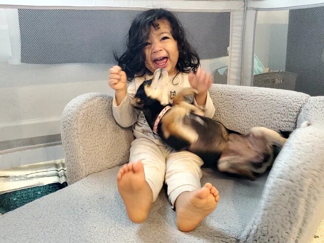 VideoCapture_20250306-094753