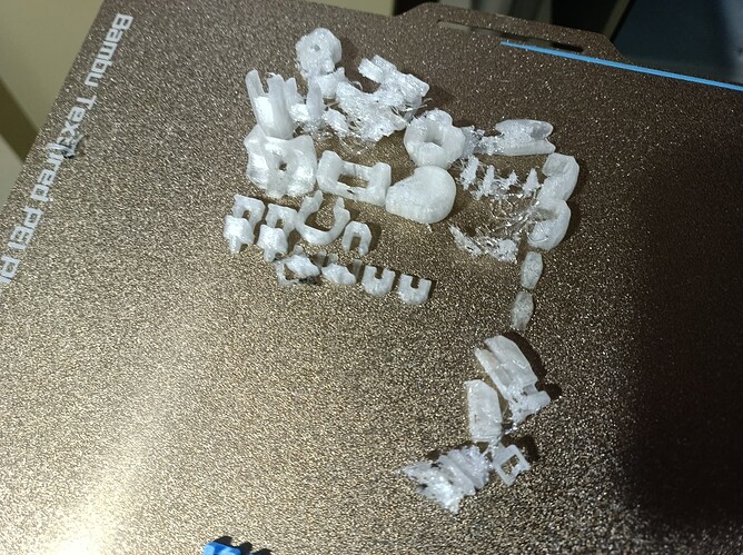 IMG_20240220_095826_738