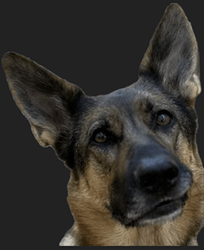 Screenshot 2025-12-22 at 9.21.25 AM