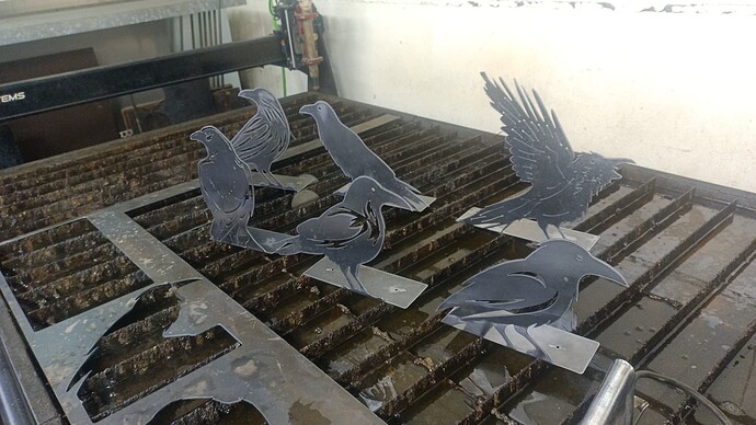 IMG_20251112_090734_266