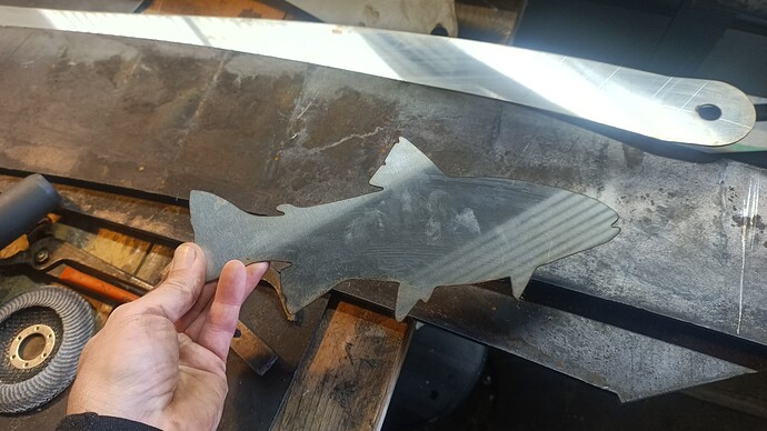 IMG_20251109_142336_707